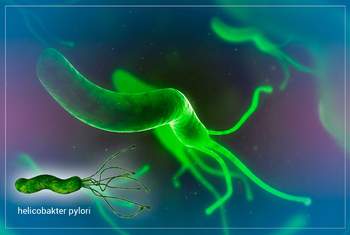 Helicobacter pylori – основная причина язвы и гастрита