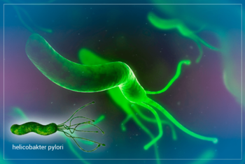 Изображение Helicobacter pylori – основная причина язвы и гастрита