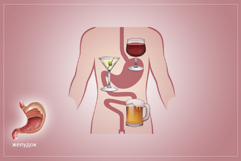 Изображение Влияние алкоголя на желудок