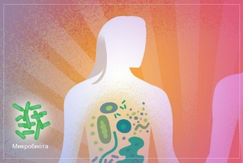Изображение Микробиота и иммунитет: изучение сложных взаимосвязей между микробиотой и иммунной системой, ее влияния на аутоиммунные заболевания и роли пробиотиков в иммунной модуляции.